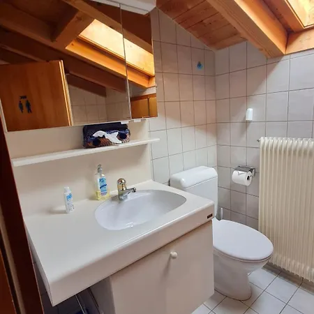 Haus - Bei Einfahrt Grosser Nussbaum By Interhome 아파트 *